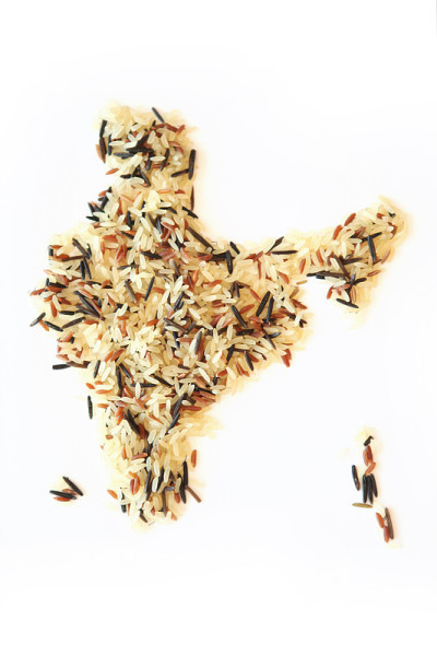 印度香米和糙米