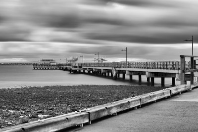 伍迪Jetty。黑色和白色。