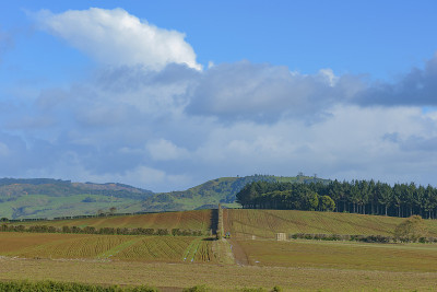 田野的风景对天空