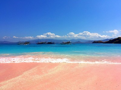 美丽的粉红色海滩和蓝色清澈的水来自科莫多岛(科莫多国家公园)，纳闽巴霍，弗洛雷斯，印度尼西亚