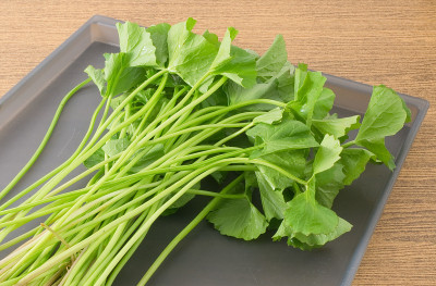 一个托盘上的亚洲Centella或Gotu Kola