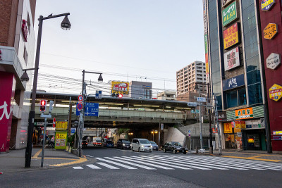 日本龟道，东京，白天