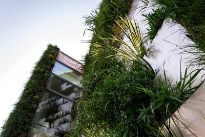 绿色垂直生活墙用根区污水处理，外立面对现代建筑用植物空调制冷