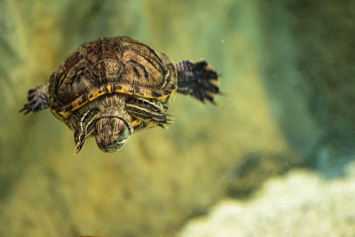 水族馆