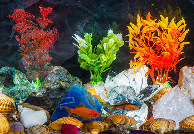 与鱼水族馆