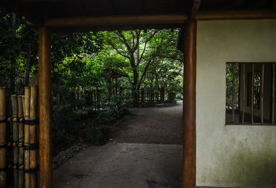 森林门口