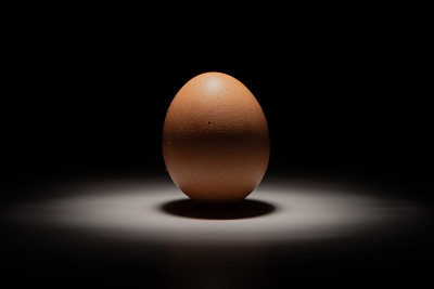 只有Egg