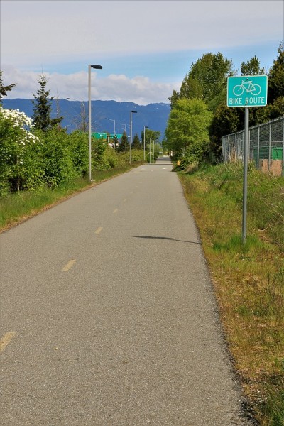 沥青的自行车道路