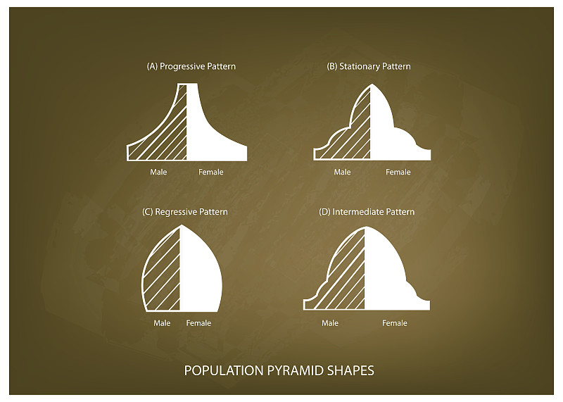 四种类型的人口金字塔在黑板的背景