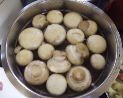 蘑菇