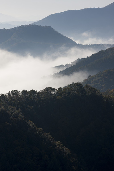 雾，山