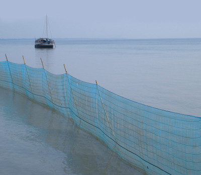 河