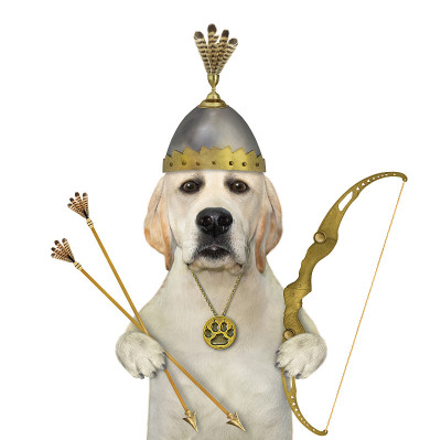 Dog in knight helmet holds bow