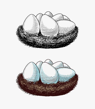 窝蛋。农业产品。雕刻手绘复古素描。木刻风格。矢量插图菜单或海报或复活节