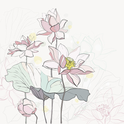 莲花