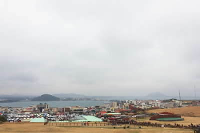 济州岛的冬季景观