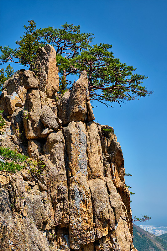 松树和岩壁，雪山国家公园，韩国