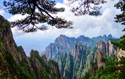松树和悬崖在黄山(黄山)在中国安徽省