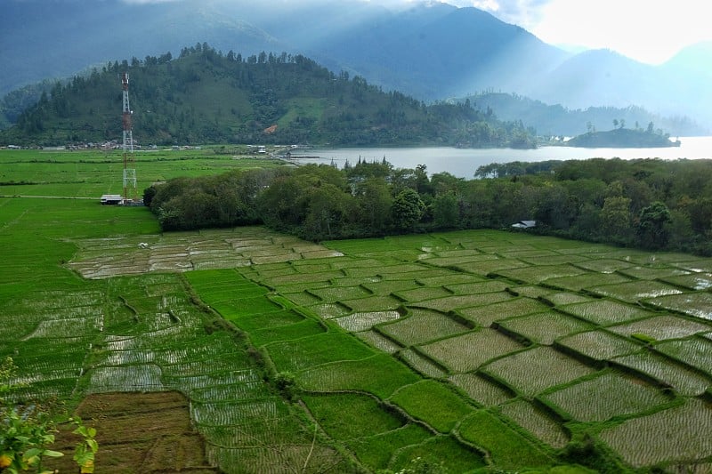 Gayo Land的魅力