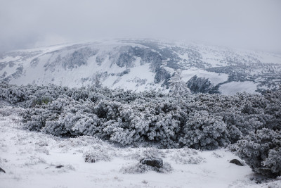 山上的雪