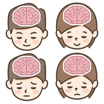 白色背景上的男性和女性大脑的插图