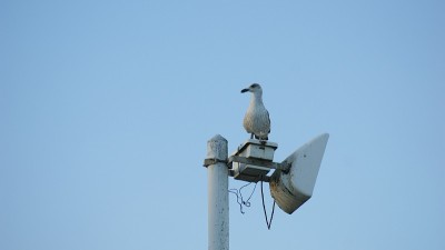 摩西湾