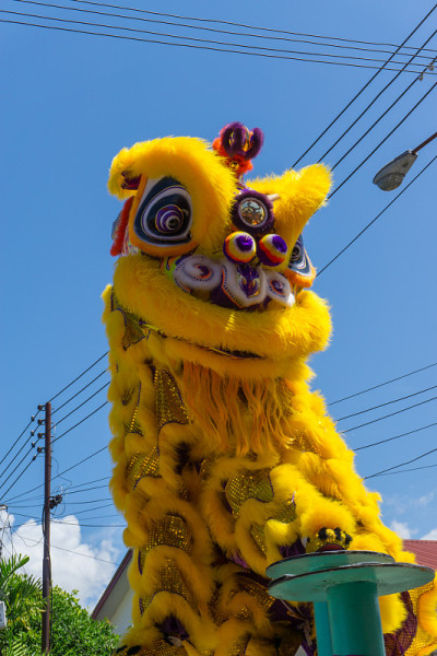 在中国新年的节日里舞狮