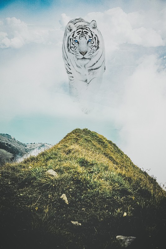 巨大的白虎操纵使用Photoshop