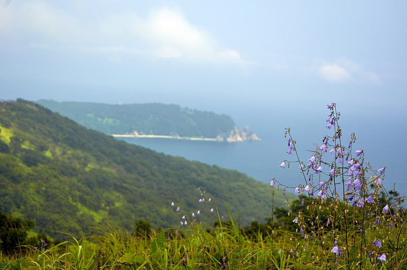 海湾被青山环绕。