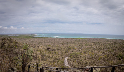 Puerto Villamil, 伊莎贝拉, 加拉帕戈斯