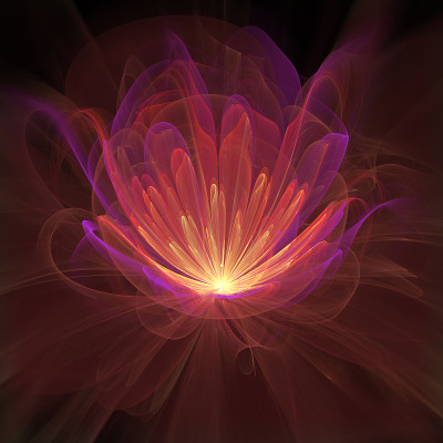 火焰的花瓣