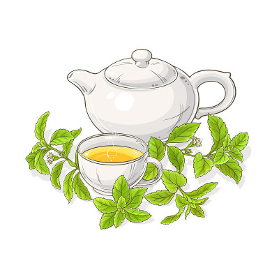 甜菊糖茶在茶壶插图