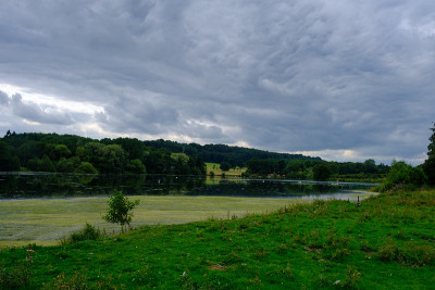 在英国西约克郡的Harewood House Trust地区，树木、树叶、鸟类和鱼塘的美丽风景