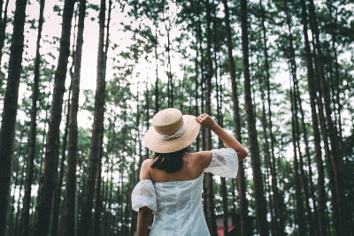 旅行者亚洲妇女旅行在松树花园Doi博琅森林公园在泰国清迈