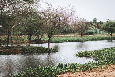 湖-壁纸