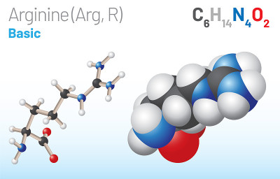 精氨酸(Arg, R)氨基酸分子。(化学公式C6H14N4O2)