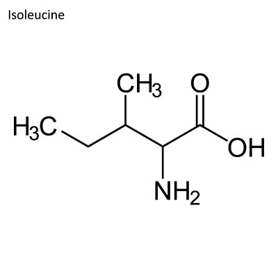 异亮氨酸的骨架公式