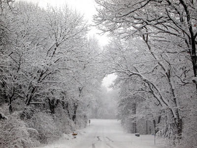 大雪过后的县城公路