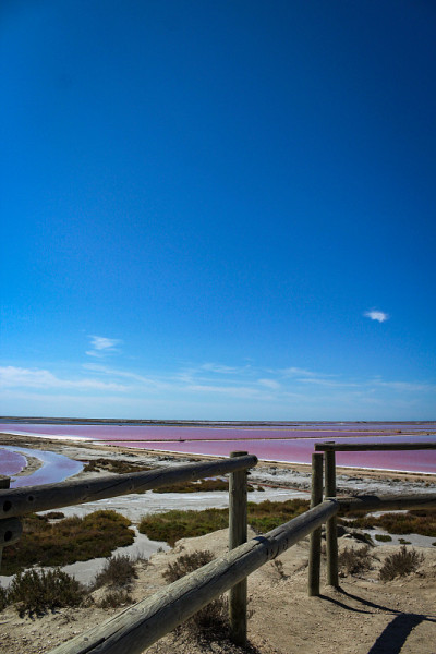 Salin-de-Giraud盐场