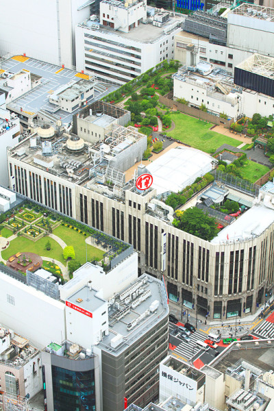 东京高层建筑屋顶花园