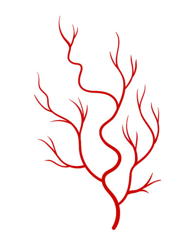 人类的静脉。红色轮廓血管，动脉或毛细血管在白色背景上。医学概念解剖学要素。血液系统的载体分离符号