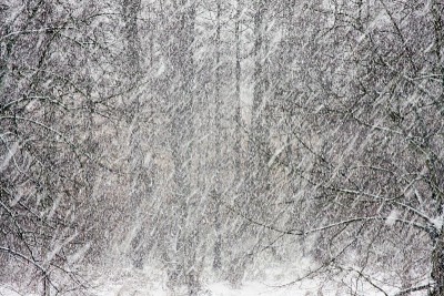 大雪