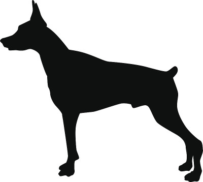 杜宾犬的剪影