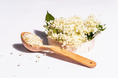 接骨木花茶