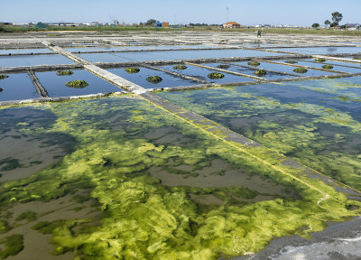 威Saline-Portugal