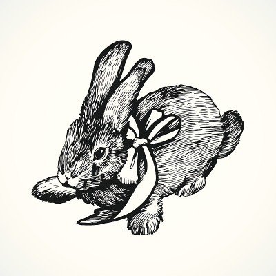 手绘插图与兔子