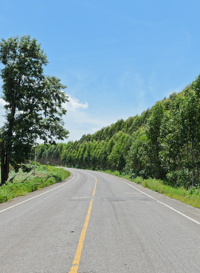 农村道路