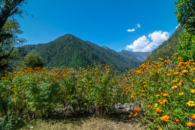 印度北坎德邦Sankri山脉的一般风景
