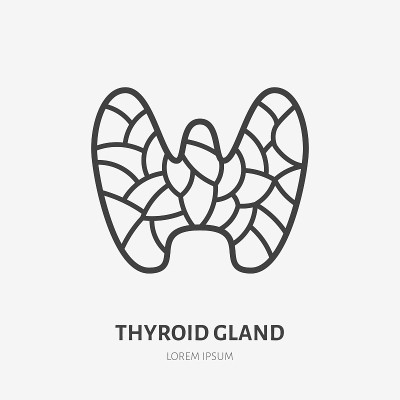 甲状腺线形图标，人体内脏的矢量象形图。解剖说明，内科，内分泌科门诊