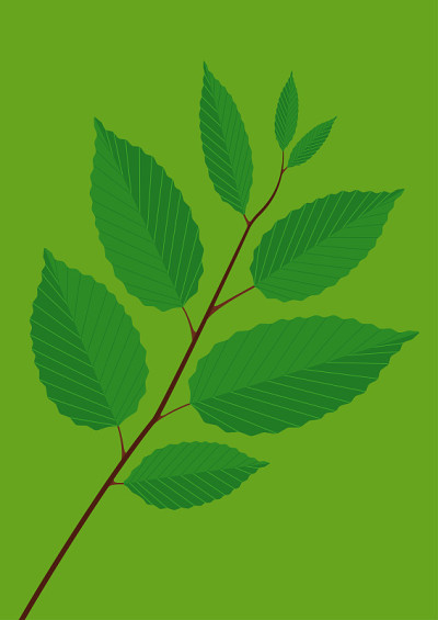 季节